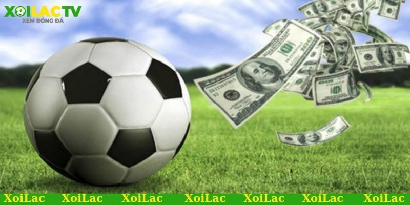 Bí quyết giúp soi kèo tỷ lệ chấp chuẩn chỉnh