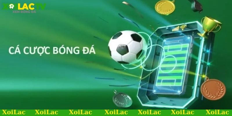 Cách để xem bóng đá chất lượng