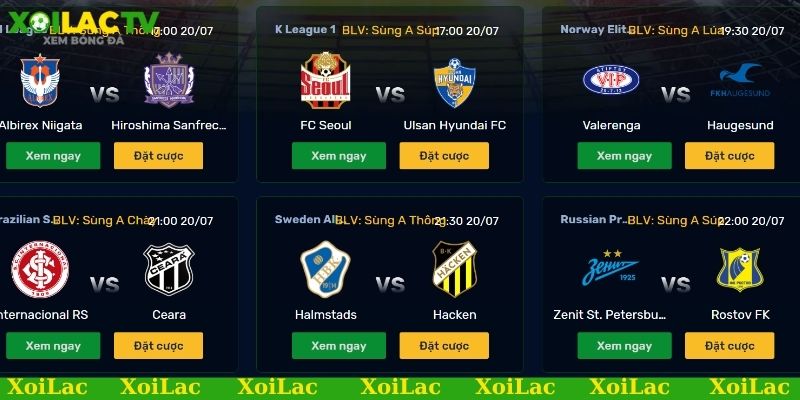 Link xem bóng đá đức trực tiếp, miễn phí - Đừng bỏ lỡ! 2 Link xem bóng đá Đức có những giải đấu nào hấp dẫn