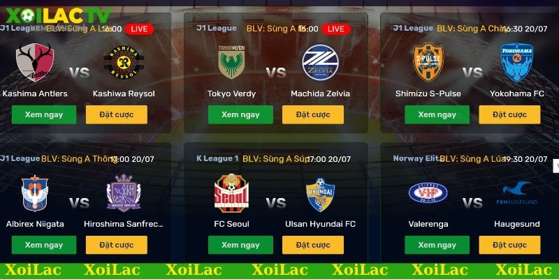 Link xem bóng đá đức trực tiếp, miễn phí - Đừng bỏ lỡ! 1 Link xem bóng đá Đức online độ phân giải cao