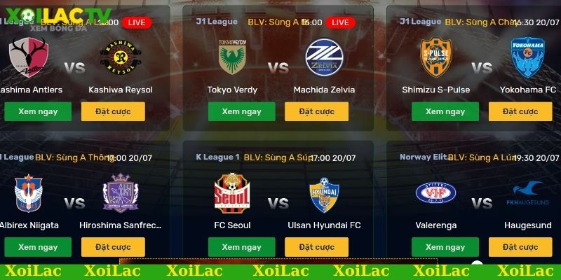 Link xem bóng đá trực tiếp Việt Nam, đam mê không biên giới 2 Link xem bóng đá Việt Nam nhiều giải đấu kịch tính