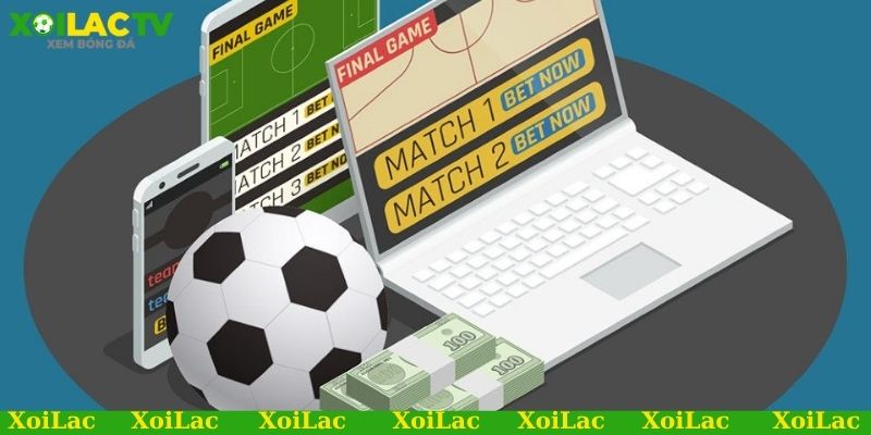 Link xem bóng đá chất lượng cao cập nhật thông tin chính xác