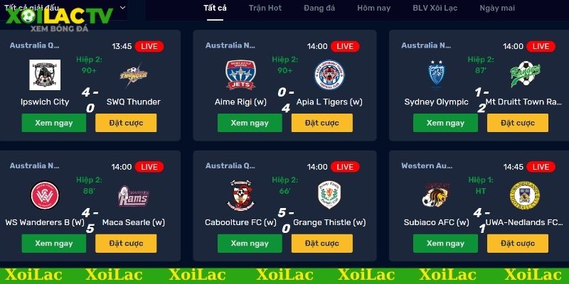 Link xem bóng đá chất lượng cao đường truyền ổn định