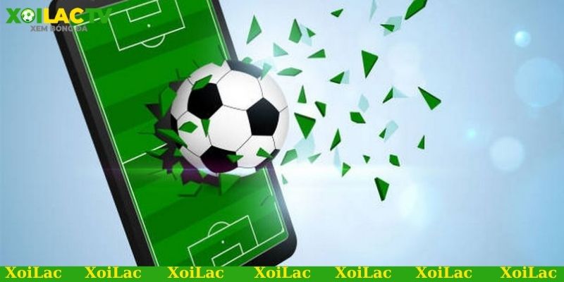 Link xem bóng đá chất lượng cao