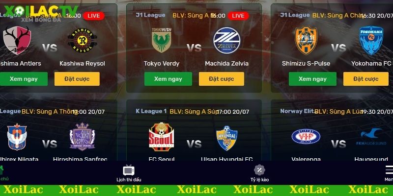 Link xem bóng đá miễn phí đa dạng các giải đấu kịch tính