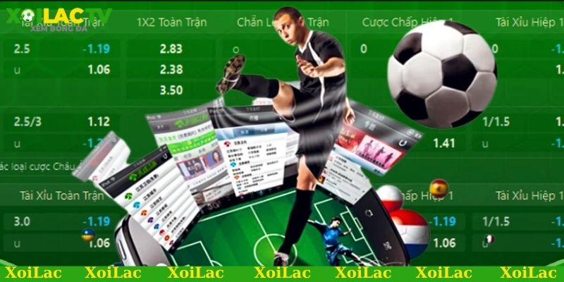 Soi kèo bóng đá châu Âu