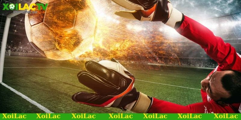 Trang bóng đá chuyên soi kèo bóng đá Việt Nam cho các giải đấu nào