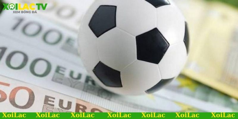 Link xem bóng đá đức trực tiếp, miễn phí - Đừng bỏ lỡ! 3 Vì sao nên tìm kiếm link xem bóng đá Đức trực tuyến