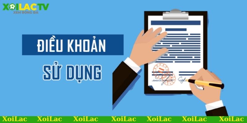 Điều khoản & Điều kiện 3 Điều khoản & điều kiện về giải quyết tranh chấp