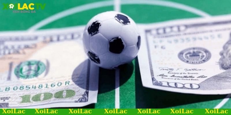 Link xem bóng đá Tây Ban Nha