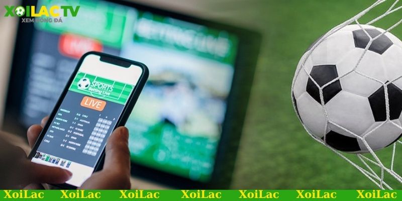 Rủi ro cần tránh khi soi kèo bóng đá penalty 