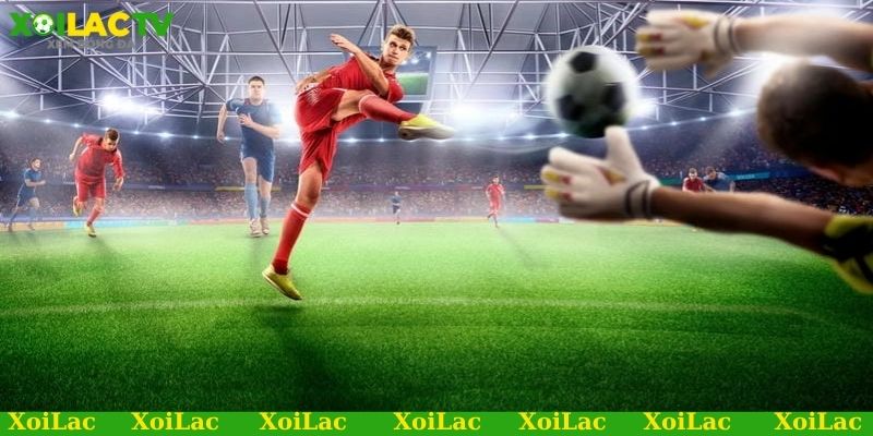 Vì sao nên cập nhật thông trước khi soi kèo thẻ phạt?